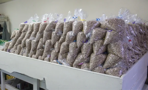 Bags of beans for Bodega Day at Casa de los Pobres in Tijuana, Mexico